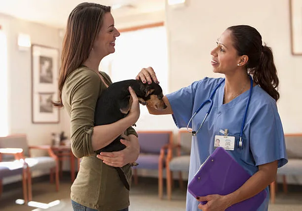 Imagem ilustrativa de Clinica veterinaria perto de mim no Rio Grande do Sul